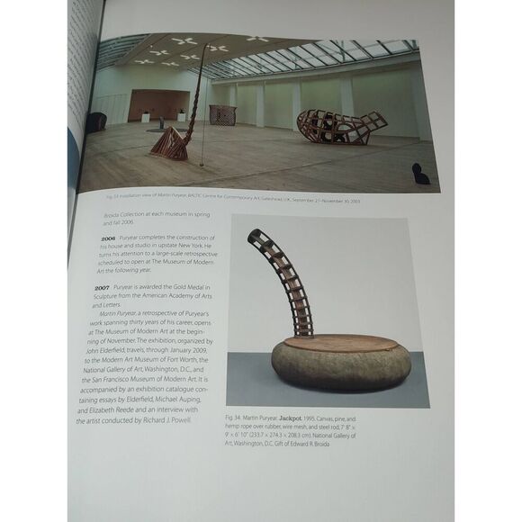 Martin Puryear by Elderfield 2007 HC/DJ Museum of Modern Art New York - Picture 10 of 14